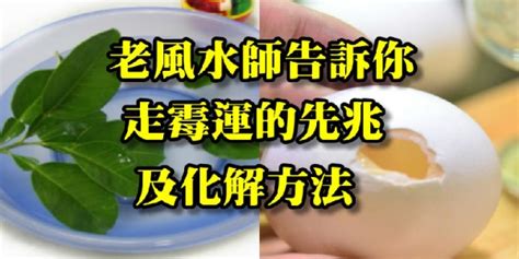 去霉運方法|老風水師告訴你 走霉運的先兆及化解方法 ＊ 阿波羅新聞網